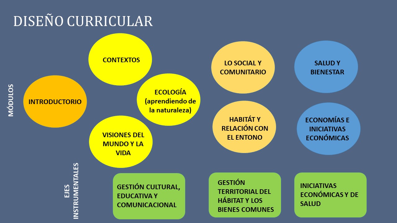 Contenidos